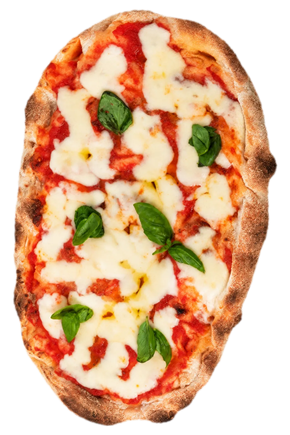 Regina — Margherita
